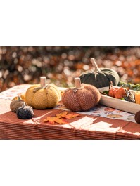 CITROUILLE TISSU SOFTY - 3 ASS DIA 18CM X 14CM