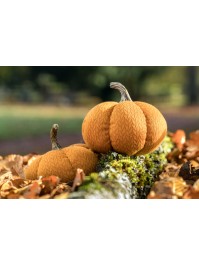 ORANGE PUMPKIN DIA 13CM X 12CM