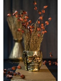 GOLD SKULL POT 16CM X 18.5CM