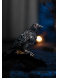 BLACK RESIN RAVEN 17CM X 7.5CM X 13.5CM 