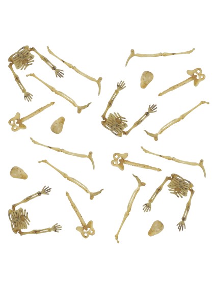 SET 20 MINI OS AUS SKELETT KUNSTSTOFF +/- 9CM