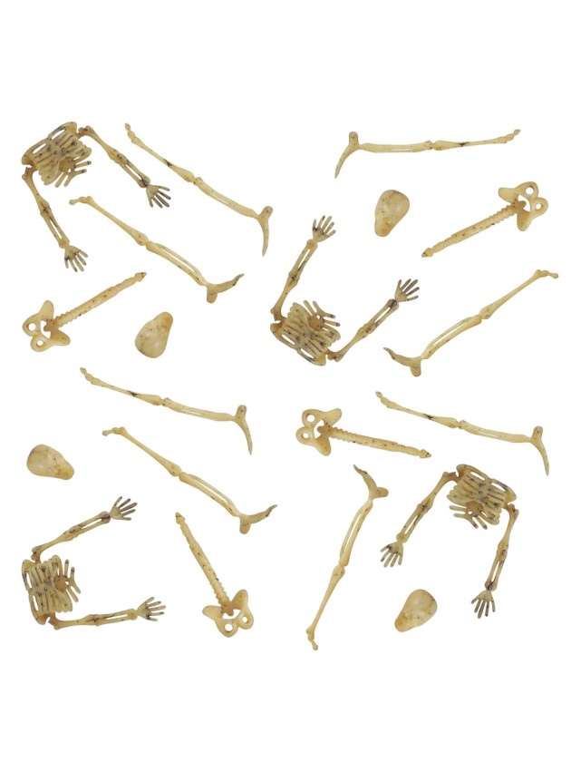 SET 20 MINI OS AUS SKELETT KUNSTSTOFF +/- 9CM