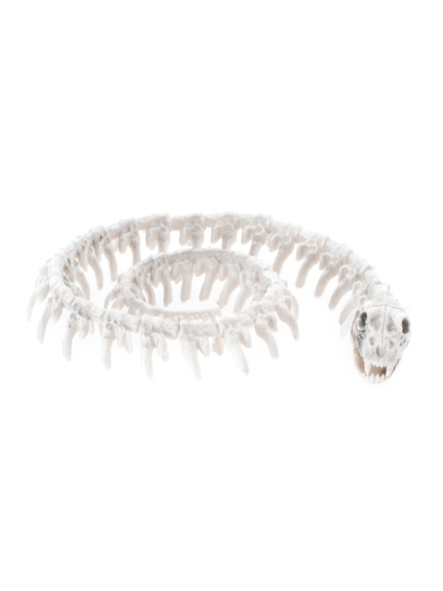 PE SNAKE SKELETON 20CM X 16.5CM X 3.5CM