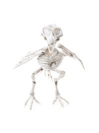 PP RAVEN SKELETON 12CM X 11.5CM X 18.5CM