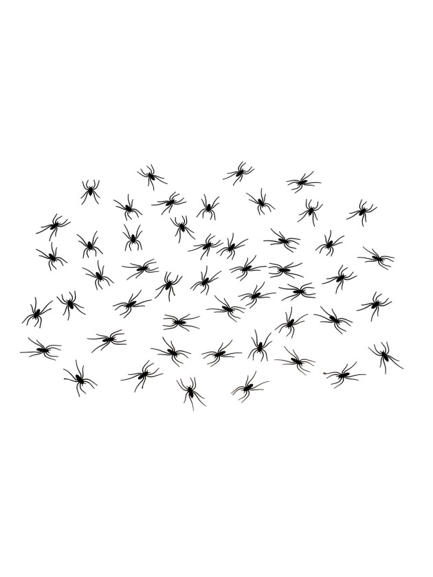 SET OF 50 BLACK PE SPIDERS 3.7CM X 2CM 