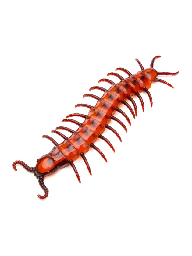 BIG ARTICULATED CENTIPEDE 45CM 