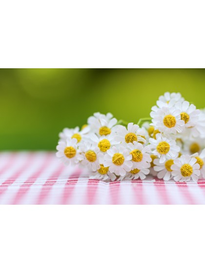 BLUMENSTRAUSS MARGERITEN WEISS 27CM