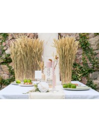 BOTTE HASENSCHWANZGRAS NATUR DIA 12CM X 55CM