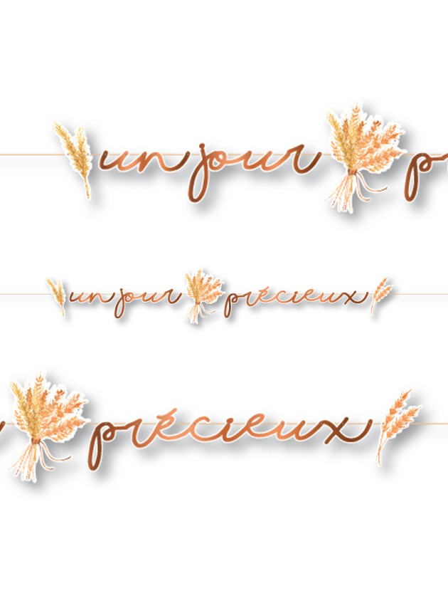 PAPER GARLAND UN JOUR PRECIEUX 2M X 24CM