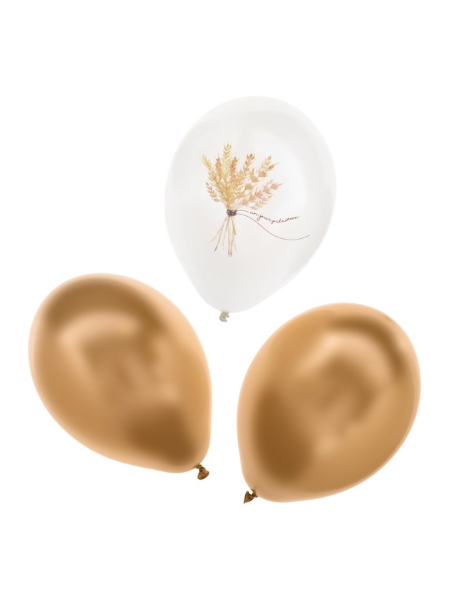 SET 6 LATEX BALLOONS UN JOUR PRECIEUX DIA 27CM