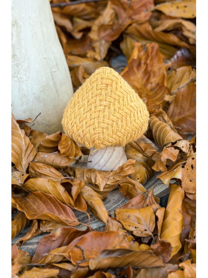 CHAMPIGNON TRICOT ORANGE SUR PIED BOIS DIA 7CM X 11CM