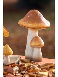 2 CHAMPIGNONS BRUNS MAGNESIE 21CM X 19CM X 30CM