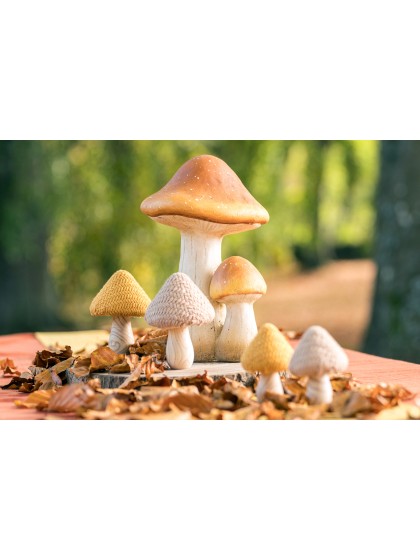 2 MAGNESIA BROWN MUSHROOMS 21CM X 19CM X 30CM