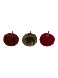 FILET DE 9 CITROUILLES VELOURS - 3 COL ASS DIA 5CM X 6CM