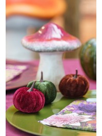 FILET DE 9 CITROUILLES VELOURS - 3 COL ASS DIA 5CM X 6CM