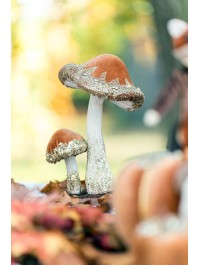 2 CAMEL VELVET MUSHROOMS WITH GLITTERS 19CM X 26CM HT