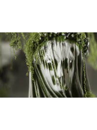 MAGNESIA GHOST LADY BUST 36CM X 24CM X 60CM