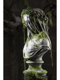 BUSTE MAGNESIA FRAU GEIST 36CM X 24CM X 60CM