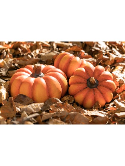 CITROUILLE TERRE CUITE 16.5CM X 16.5CM X 10.5CM