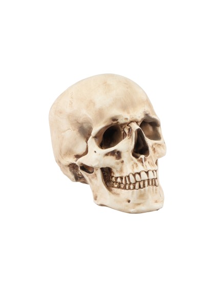 POLYRESIN SKULL 10.5CM X 15CM X 12CM