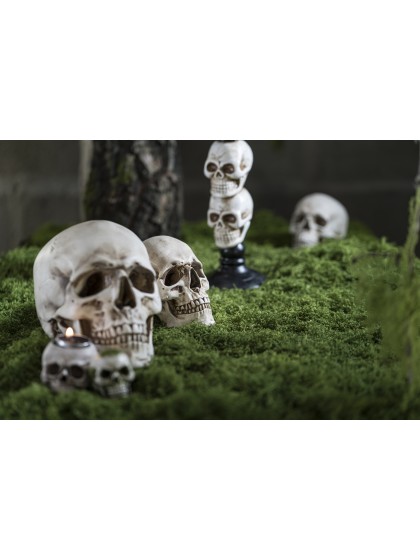 POLYRESIN SKULL 10.5CM X 15CM X 12CM