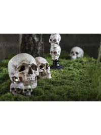 POLYRESIN SKULL 10.5CM X 15CM X 12CM