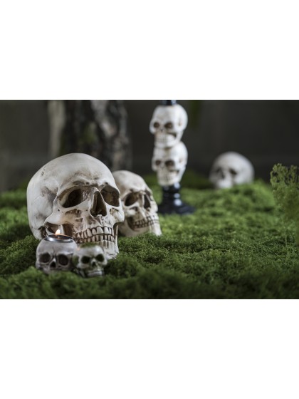 POLYRESIN SKULL 14.5CM X 21.2CM X 16.5CM