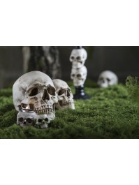 POLYRESIN SKULL 14.5CM X 21.2CM X 16.5CM