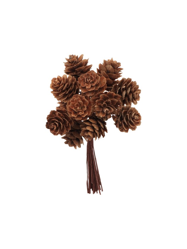 BRANCHE 12 MINI POMMES DE PIN NATURELLES 10CM X 11CM