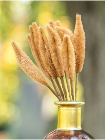 CAMEL LAGURUS EFFECT ON STEM 12 PIECES 7CM X 16CM HT