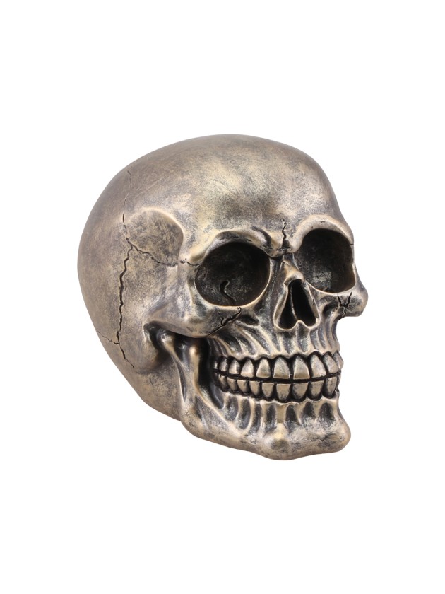 SCHÄDEL KUNSTHARZ BRONZE 11CM X 15CM X 12CM