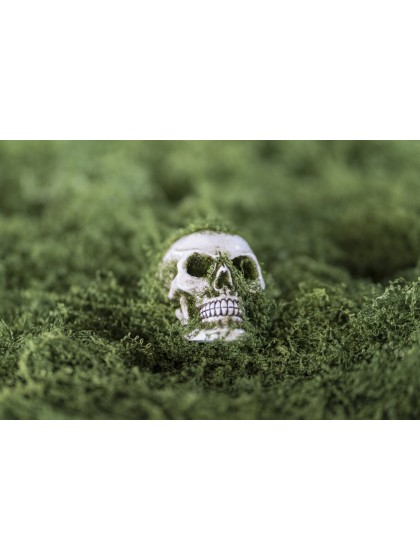 SMALL POLYRESIN SKULL WITH MOSS 4.5CM X 7CM X5.5CM