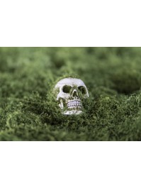 SMALL POLYRESIN SKULL WITH MOSS 4.5CM X 7CM X5.5CM