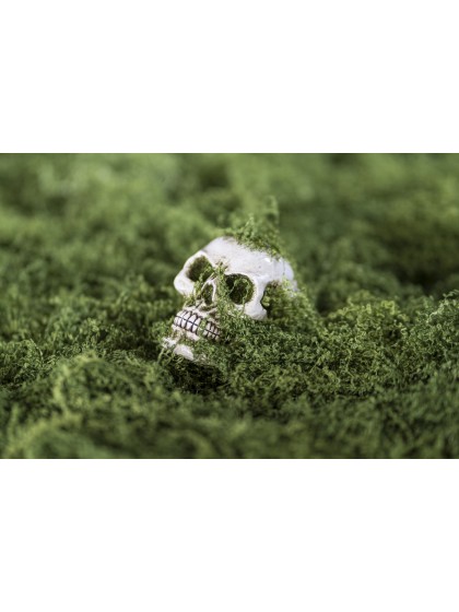 SMALL POLYRESIN SKULL WITH MOSS 4.5CM X 7CM X5.5CM