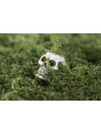 SMALL POLYRESIN SKULL WITH MOSS 4.5CM X 7CM X5.5CM