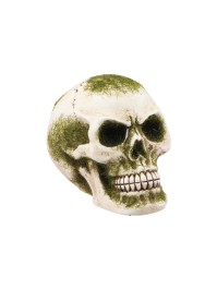 POLYRESIN SKULL WITH MOSS 10.5CM X 15.5CM X 12CM