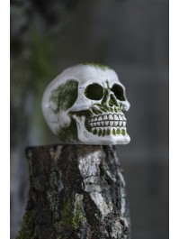 POLYRESIN SKULL WITH MOSS 10.5CM X 15.5CM X 12CM