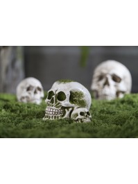 POLYRESIN SKULL WITH MOSS 10.5CM X 15.5CM X 12CM
