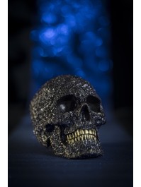 POLYRESIN PURPLE FLORAL SKULL 13CM X 22CM X 16CM