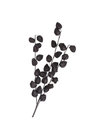 BLACK PHYSALIS STEM 82CM