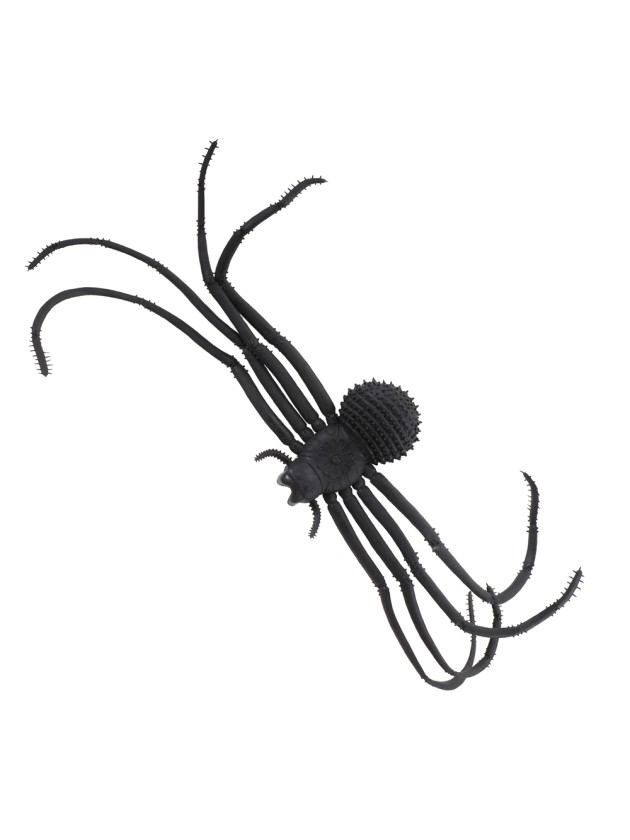 SPINNE LONGUES PFOTEN 40CM X 10CM X 2CM