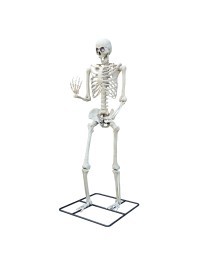 GIANT STANDING SKELETON WITH LED EYES 317.5CM