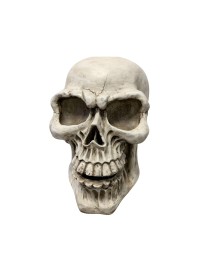 TOTENKOPF RIESEN MAGNESIA 41CM X 60CM X 63CM