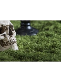 TABLE RUNNER MOSS EFFECT 30CM X 1M