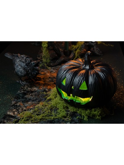 BAG OF GREEN EXPANDABLE MOSS 50G