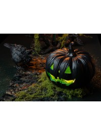 BAG OF GREEN EXPANDABLE MOSS 50G