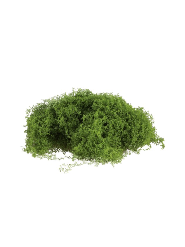 BAG OF GREEN EXPANDABLE MOSS 100G