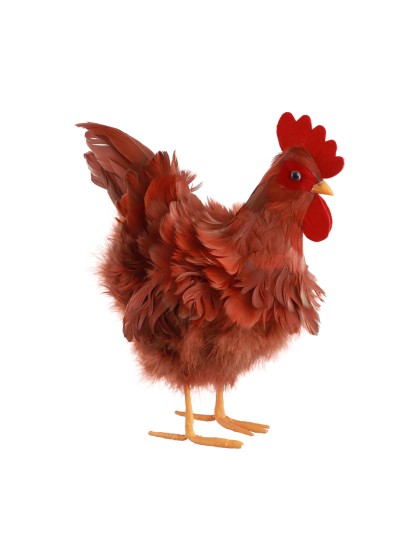 HEN WITH NATURAL COLOR FEATHERS 27CM X 17CM X 33CM