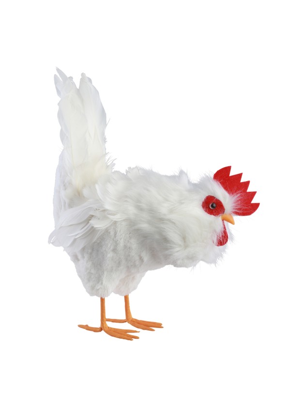 POULE BLANCHE PLUMES PICOTA 28CM X 14CM X 37CM