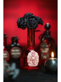 6 MINI HORTENSIAS NOIRS ENV 10CM X 4CM X 14CM